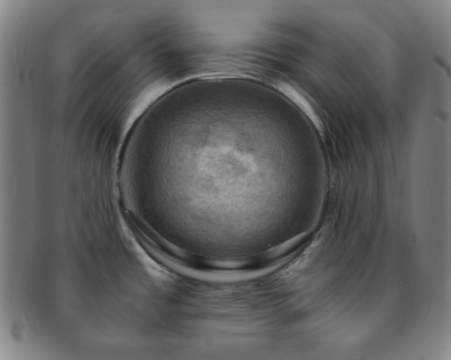 X0000091501485200708231433