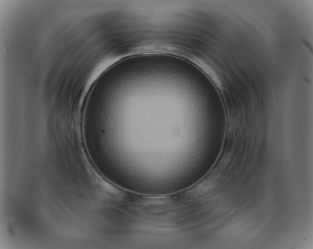 X0000091501486200708231433