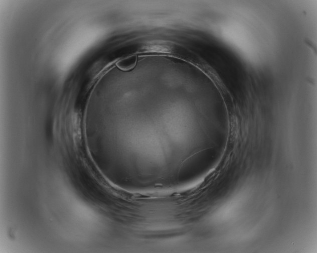 X0000091501487200708231433