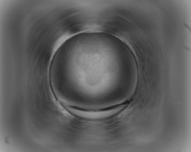 X0000091501488200708231433