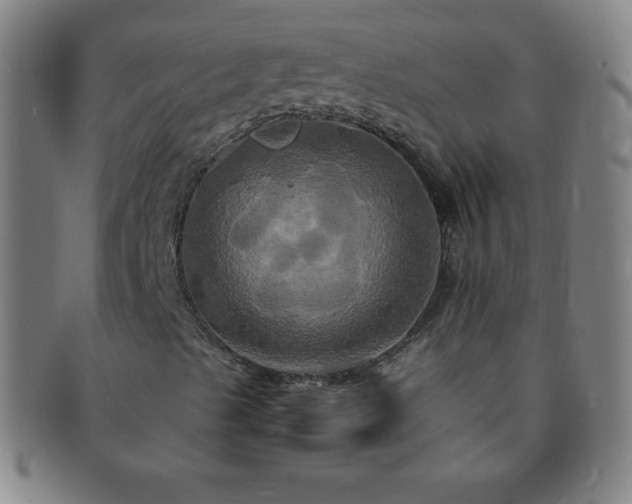 X0000091501489200708231433