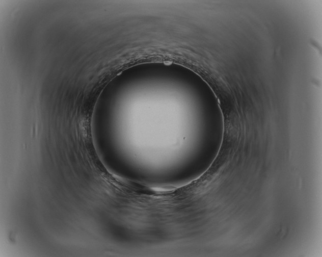 X0000091501490200708231433