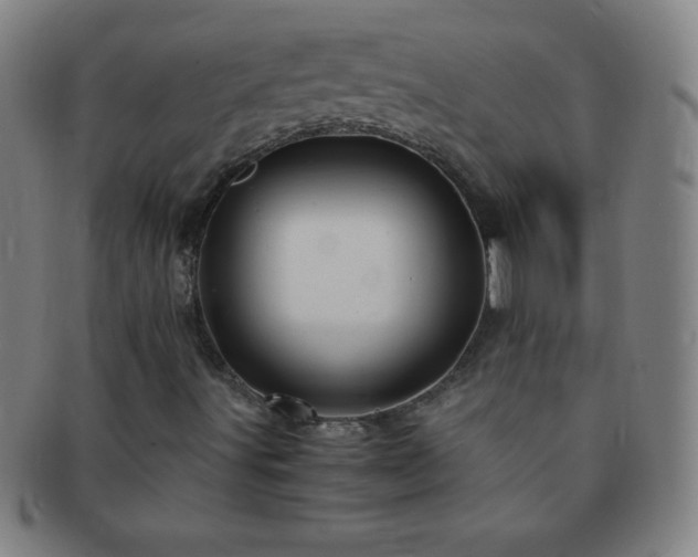 X0000091501491200708231433