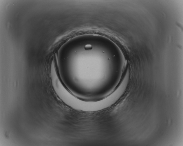 X0000091501494200708231433