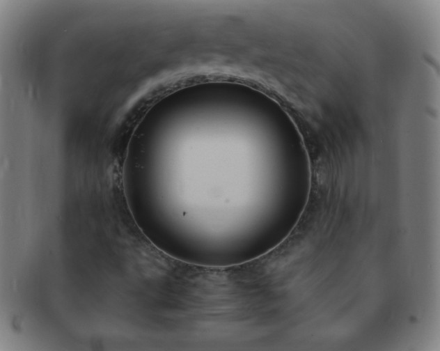 X0000091501495200708231433