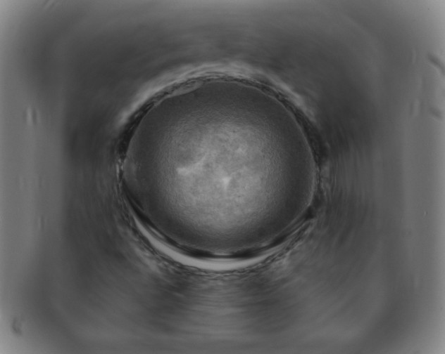 X0000091501496200708231433