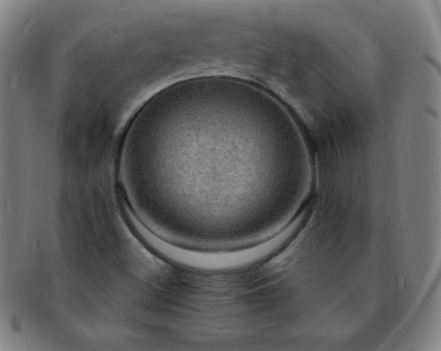 X0000091501500200708231433