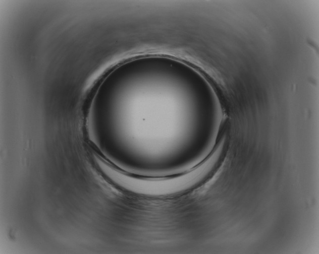 X0000091501502200708231433