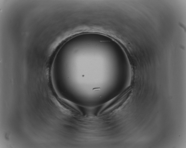 X0000091501503200708231433