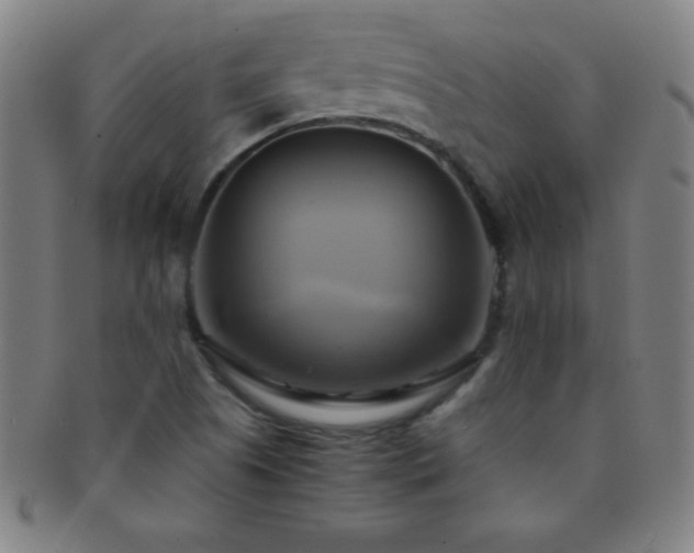 X0000091501505200708231433