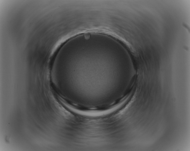 X0000091501506200708231433