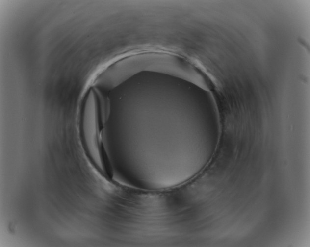 X0000091501508200708231433