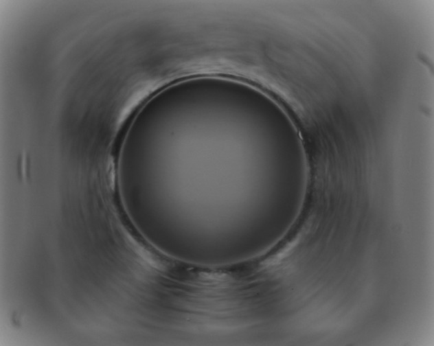 X0000091501509200708231433