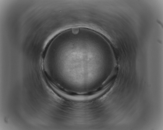 X0000091501510200708231433