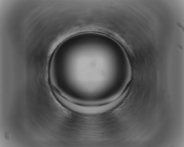 X0000091501512200708231433