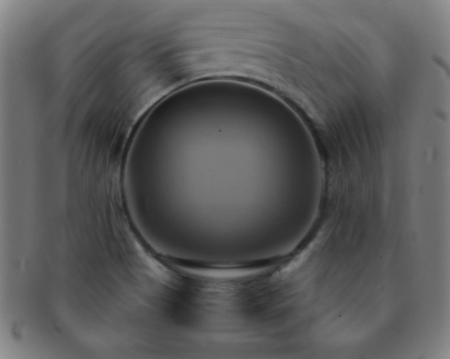 X0000091501513200708231433
