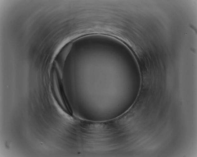 X0000091501515200708231433