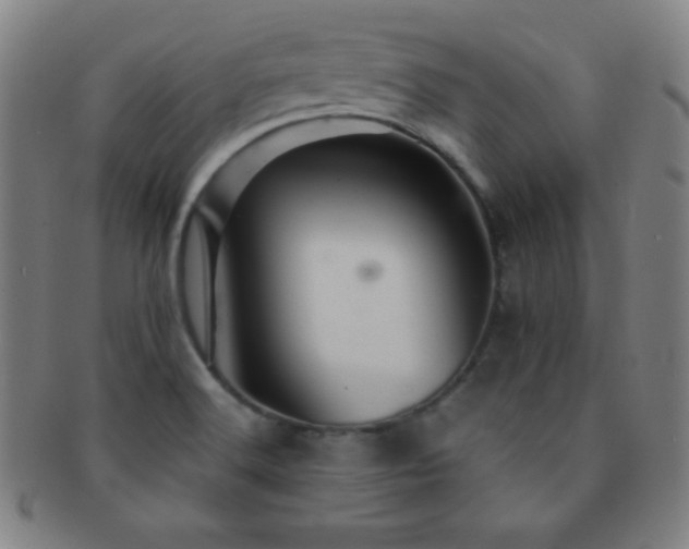 X0000091501516200708231433