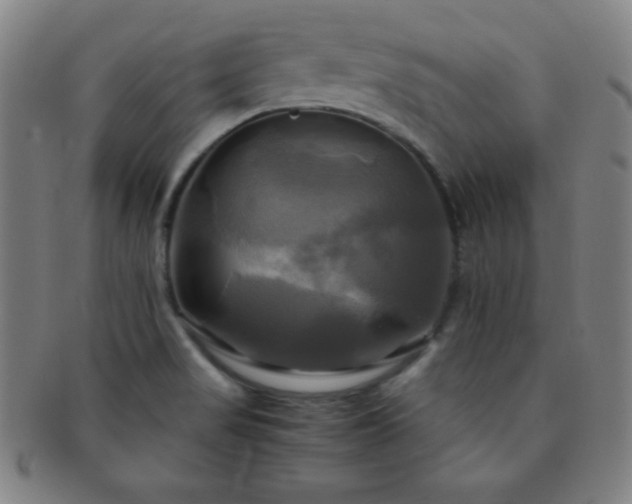 X0000091501517200708231433