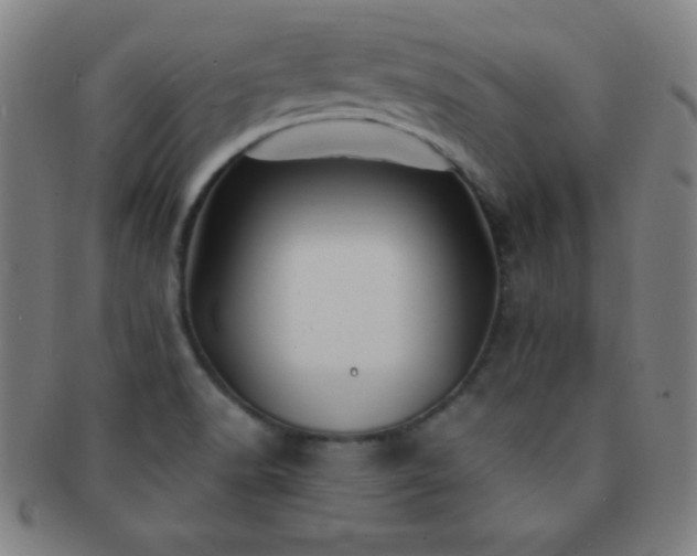 X0000091501518200708231433
