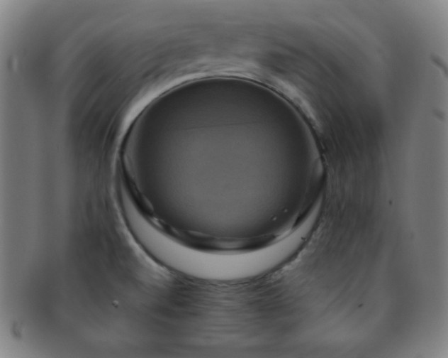 X0000091501520200708231433