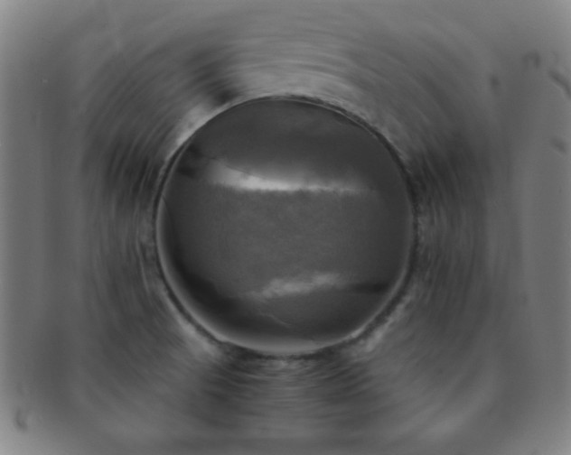 X0000091501521200708231433