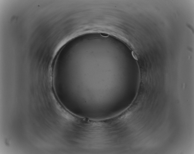 X0000091501522200708231433