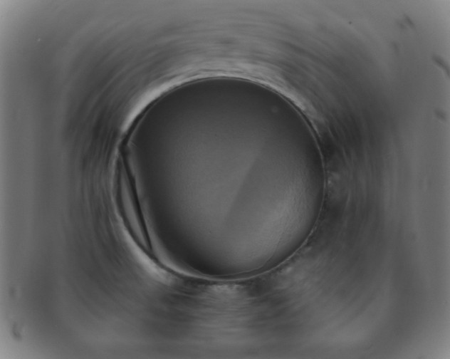 X0000091501523200708231433