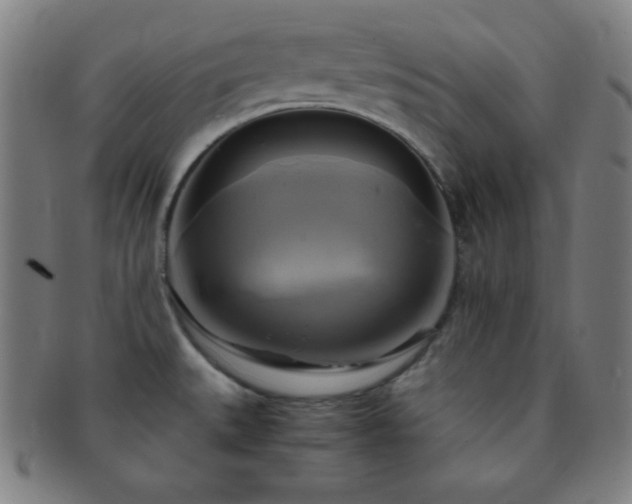 X0000091501527200708231433