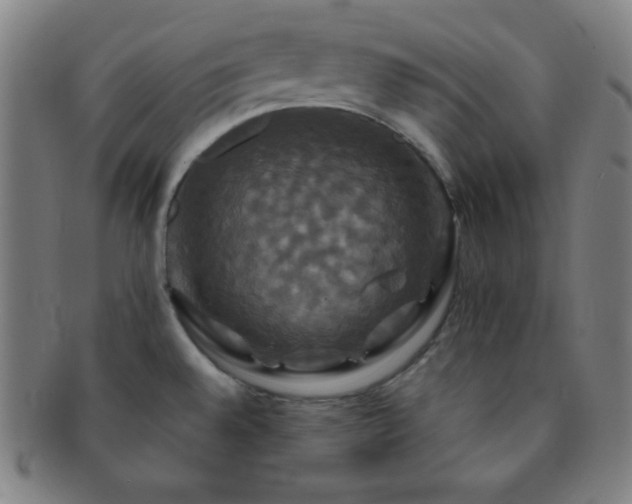 X0000091501528200708231433
