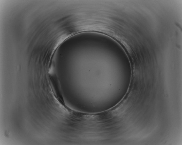 X0000091501529200708231433