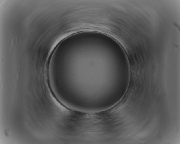 X0000091501531200708231433