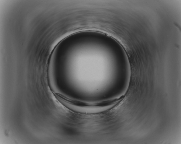 X0000091501534200708231433
