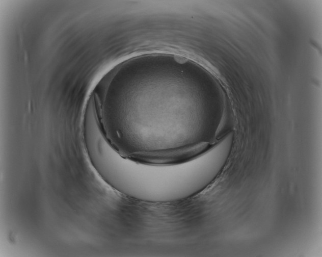 X0000091501536200708231433