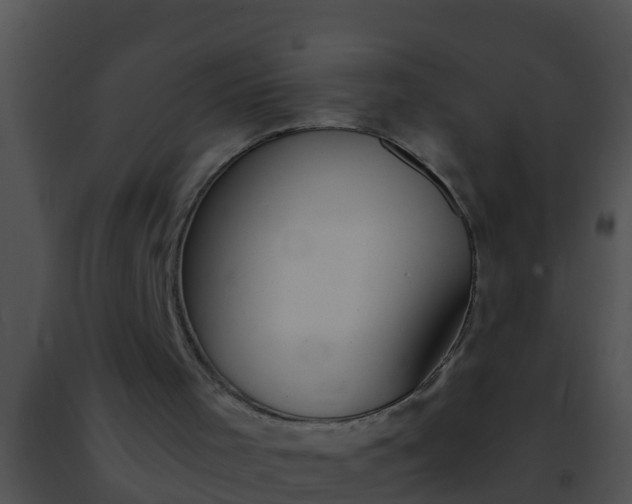 X0000091500001200708302008