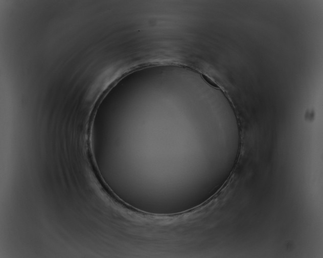 X0000091500002200708302008