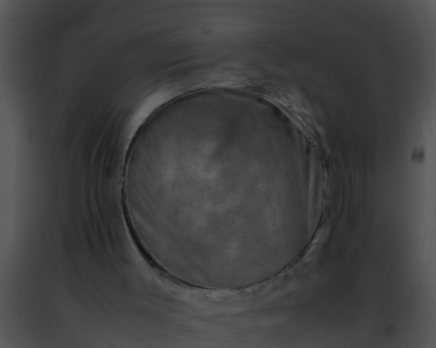 X0000091500003200708302008