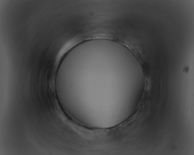 X0000091500004200708302008