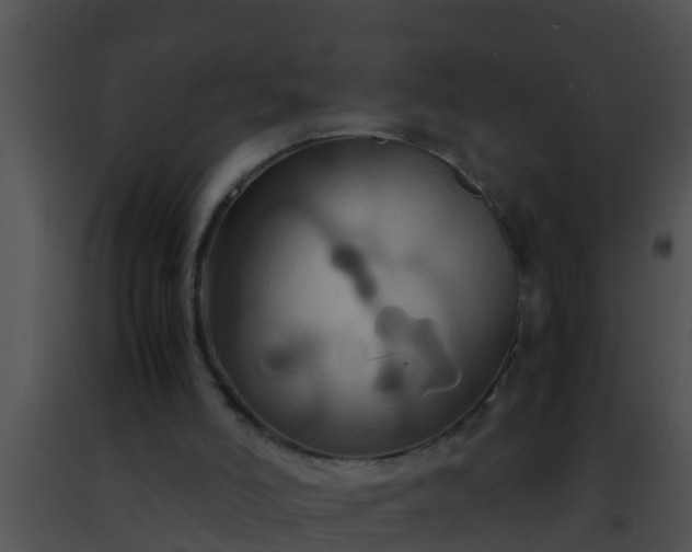 X0000091500006200708302008