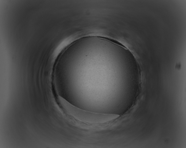 X0000091500007200708302008