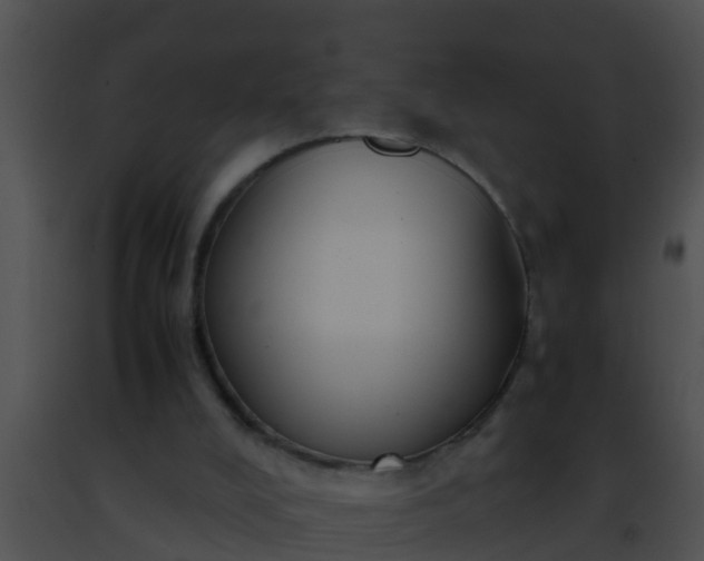 X0000091500008200708302008