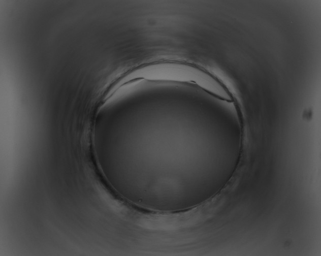 X0000091500009200708302008