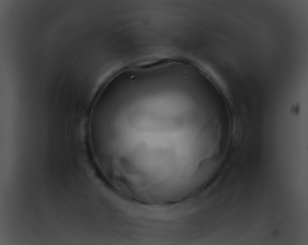 X0000091500010200708302008