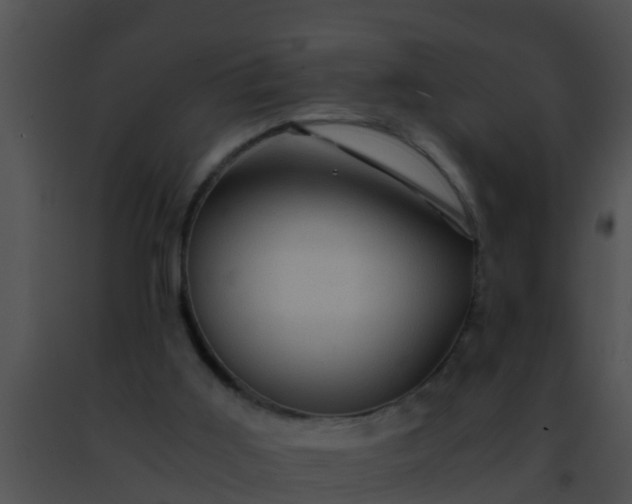 X0000091500011200708302008