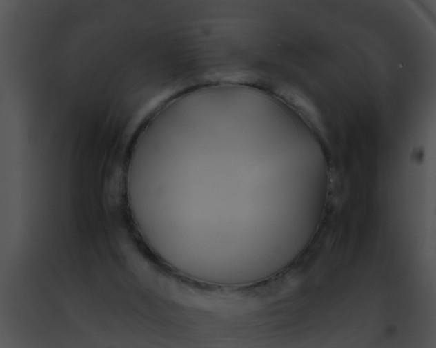 X0000091500012200708302008