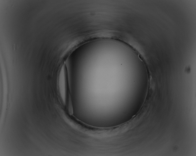 X0000091500013200708302008