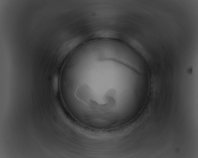 X0000091500014200708302008