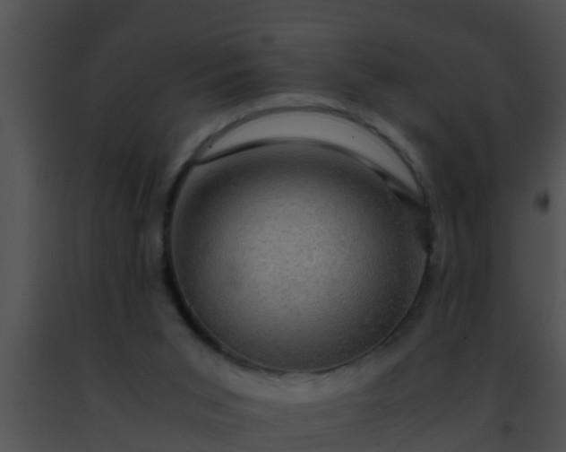 X0000091500015200708302008