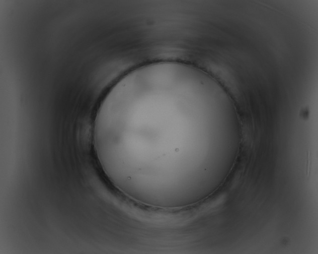 X0000091500016200708302008