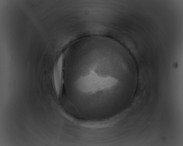 X0000091500017200708302008